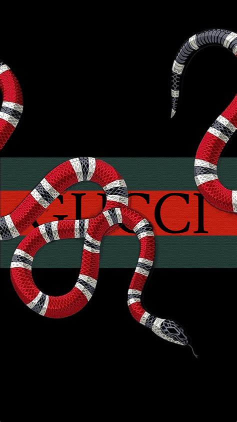 supreme gucci snake wallpaper|cute Gucci wallpapers.